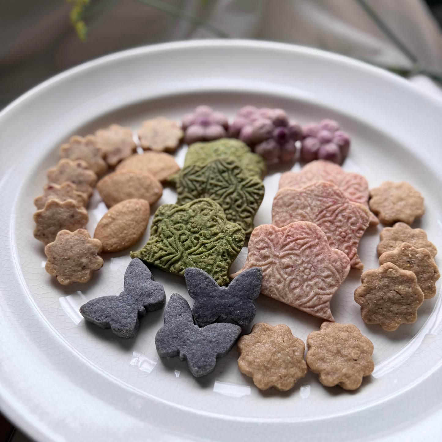 【金の茶會】クッキー缶・きんのちゃかい/10月頃から順次発送