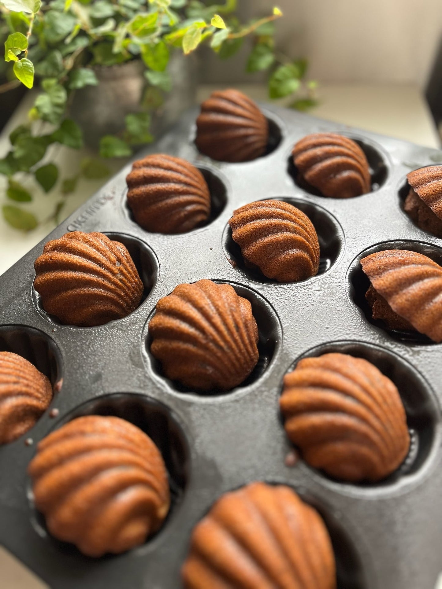 【茎ほうじ茶とマロン】Financier