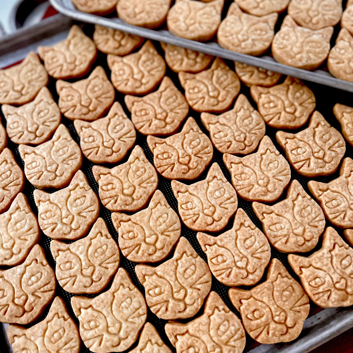 【発酵バター＆甜菜糖のサブレ】